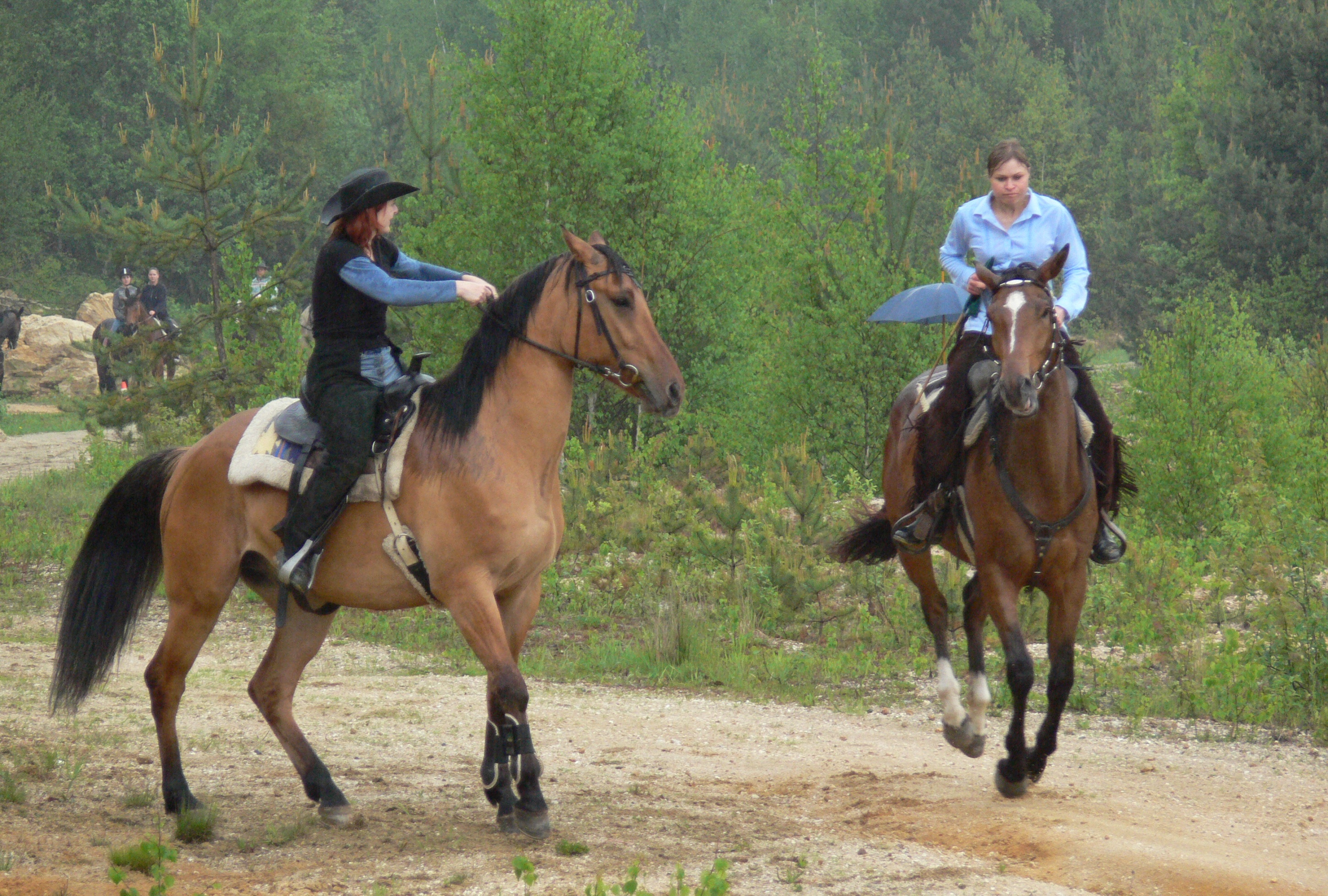 P1020122...jpg