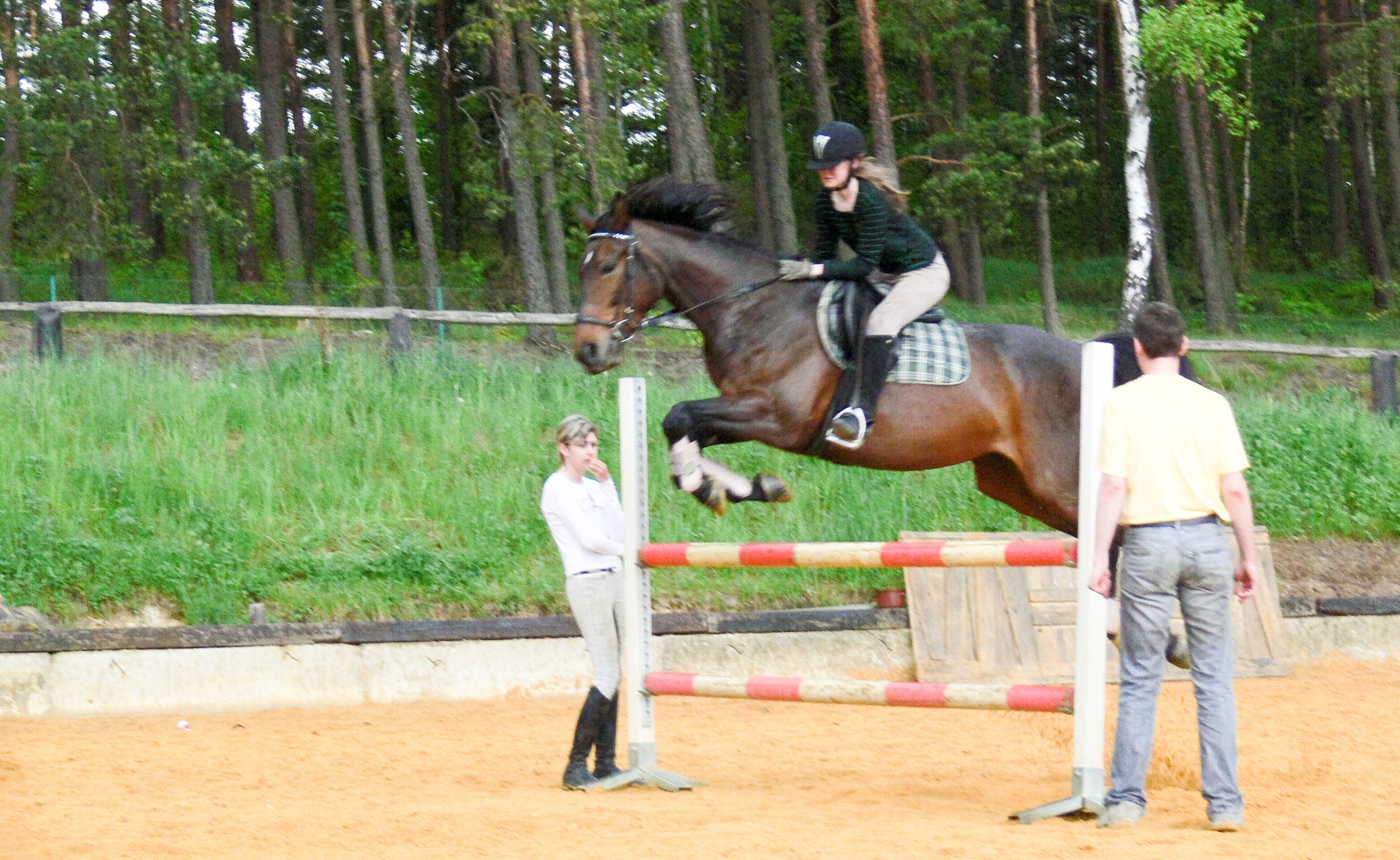 P1020287...jpg